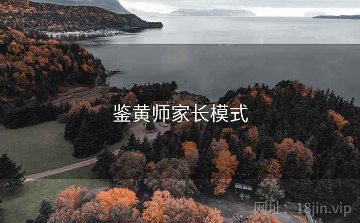 鉴黄师家长模式