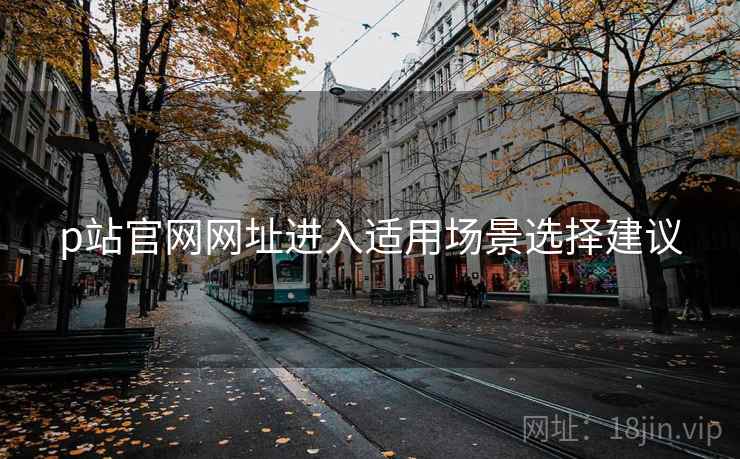 p站官网网址进入适用场景选择建议