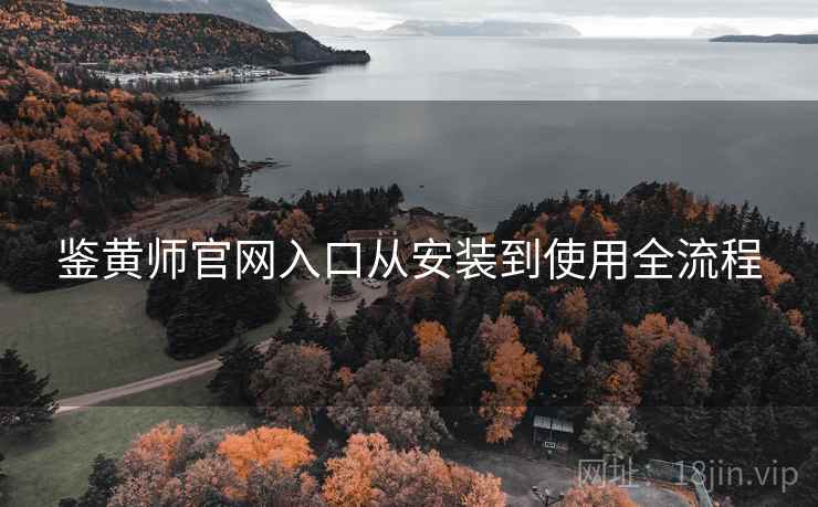 鉴黄师官网入口从安装到使用全流程