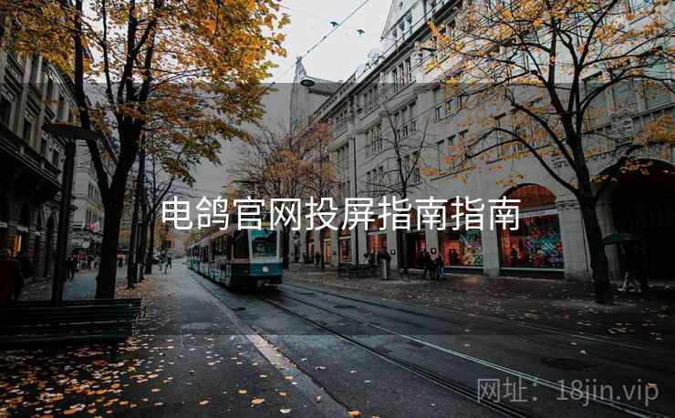 电鸽官网投屏指南指南