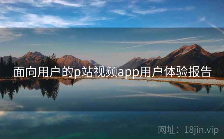 面向用户的p站视频app用户体验报告