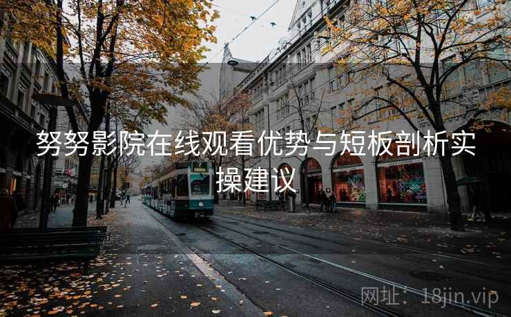 努努影院在线观看优势与短板剖析实操建议